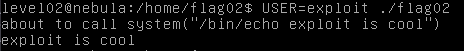 Buffer built from the $USER variable